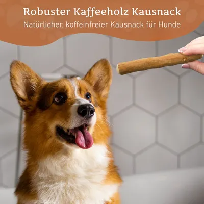 Wildfang Kaffeeholz Kaustab