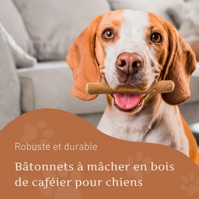 Wildfang® Bois de caféier pour chiens