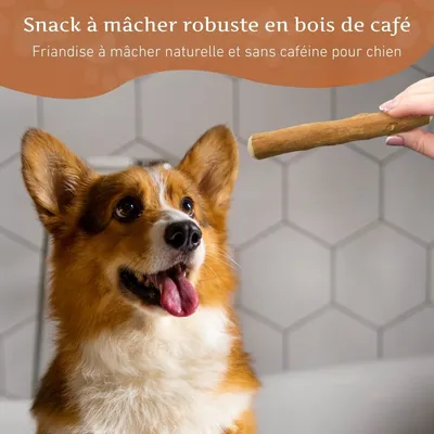 Wildfang® Bois de caféier pour chiens