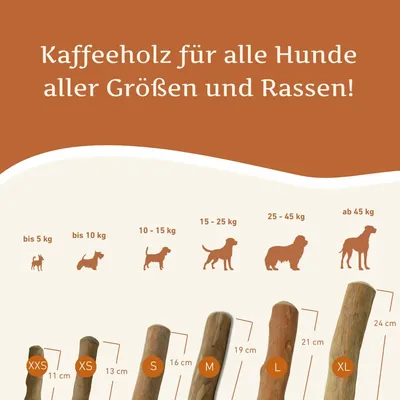 Wildfang Kaffeeholz Kaustab