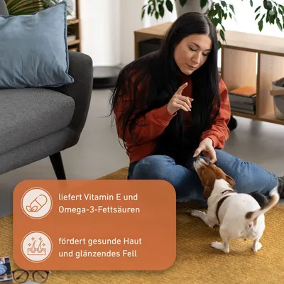 Wildfang® Bâton à mâcher en bois d'olivier
