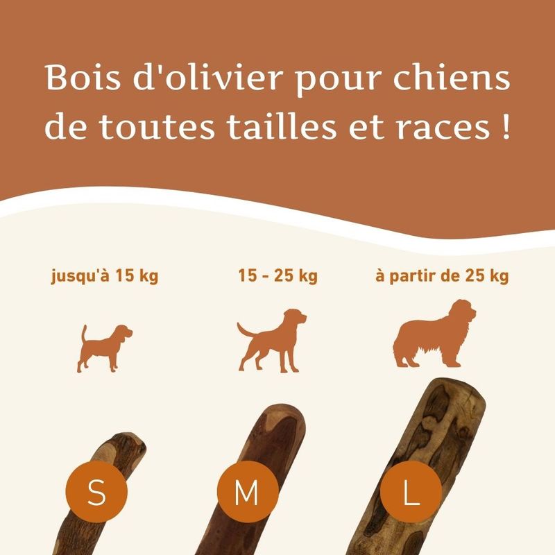 Wildfang® Bâton à mâcher en bois d'olivier