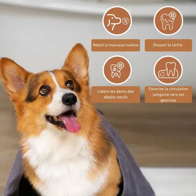 Wildfang® Bâton à mâcher en bois d'olivier