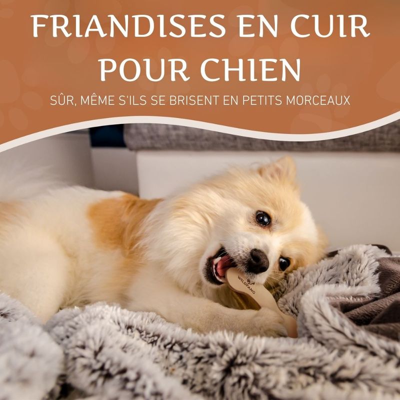 Wildfang® Os en cuir - mâcher le cuir