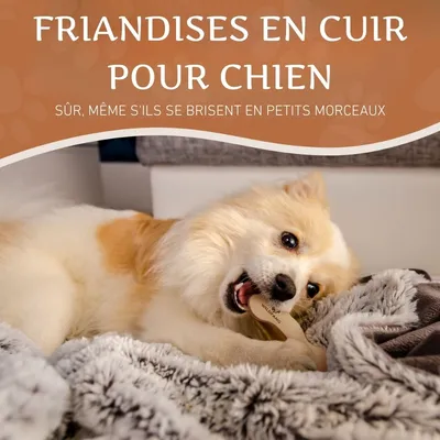 Wildfang® Os en cuir - mâcher le cuir
