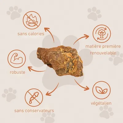 Wildfang® Mâcher des racines de bruyère arborescente