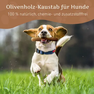 Wildfang Olivenholz Kaustab Wildfang Olivenholz Kaustab