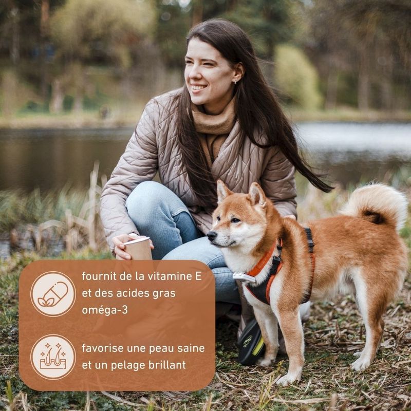 Wildfang® Bâton à mâcher en bois d'olivier