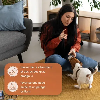 Wildfang®  Bâton à mâcher en bois d'olivier