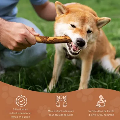 Wildfang®  Bâton à mâcher en bois d'olivier