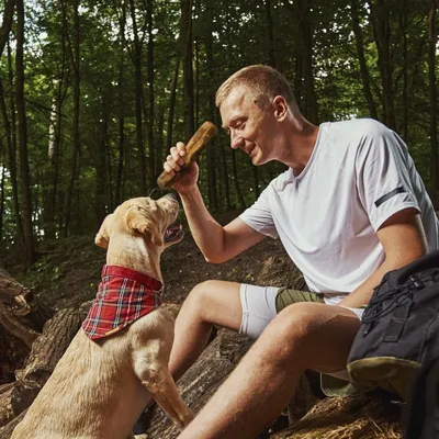Bâton à mâcher en bois d'olivier
