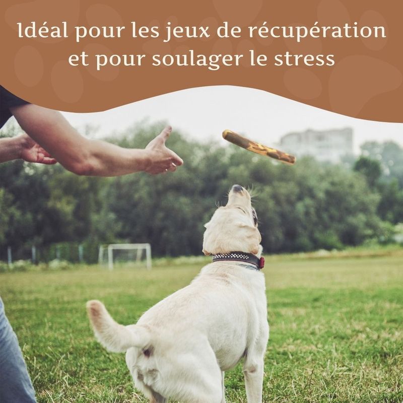 Bâton à mâcher en bois d'olivier