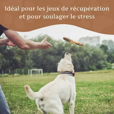 Bâton à mâcher en bois d'olivier