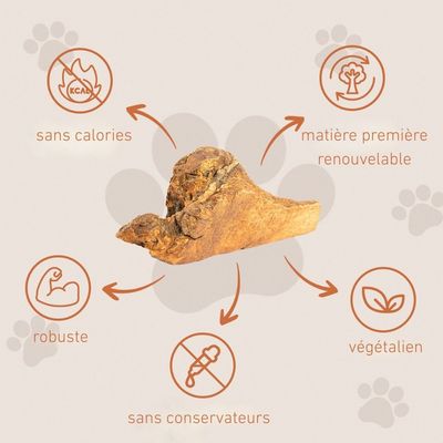 Wildfang® Mâcher des racines de bruyère arborescente