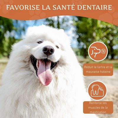 Wildfang® Mâcher des racines de bruyère arborescente