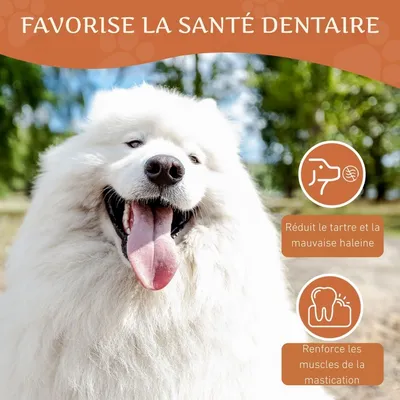 Wildfang® Mâcher des racines de bruyère arborescente