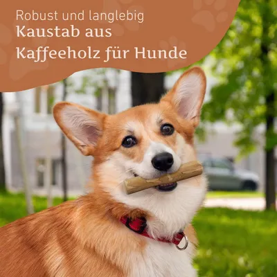 Wildfang® Bois de caféier pour chiens