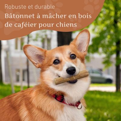 Wildfang® Bois de caféier pour chiens
