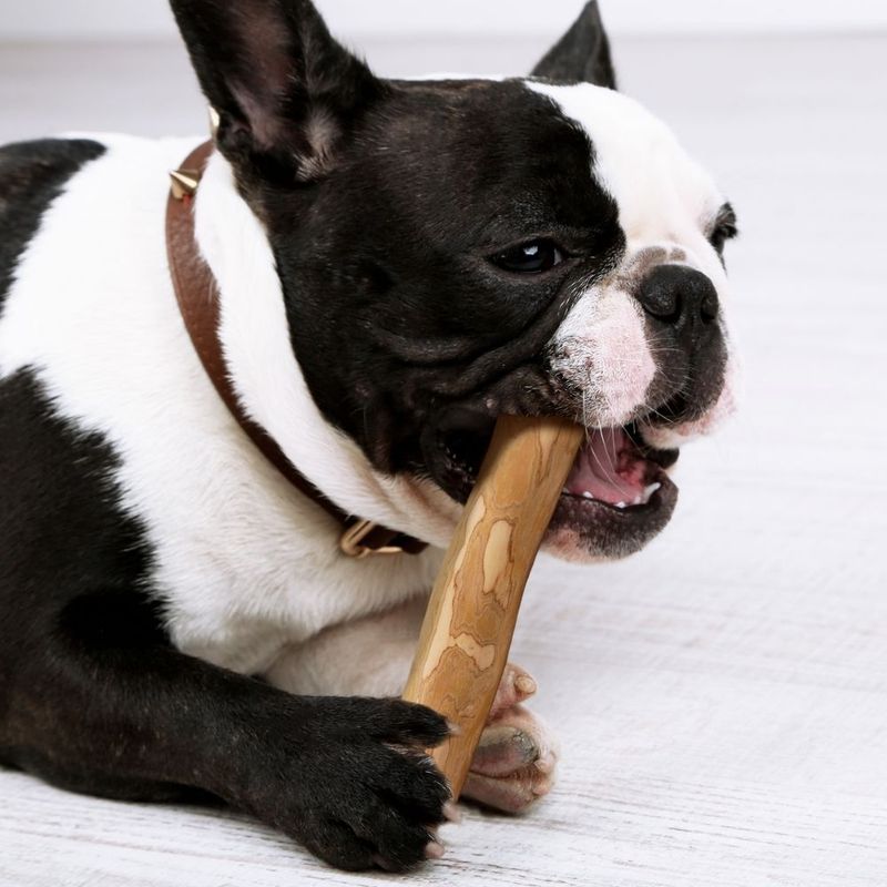 Wildfang® Bois de caféier pour chiens