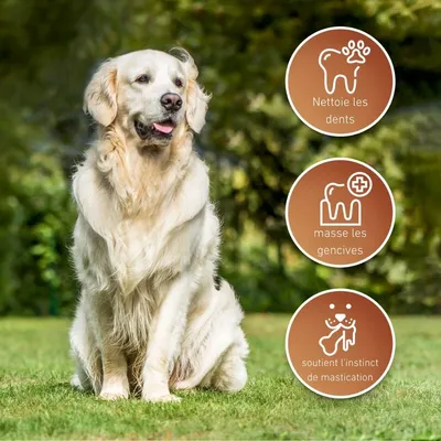 Wildfang® Os en cuir - mâcher le cuir