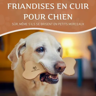 Wildfang® Os en cuir - mâcher le cuir