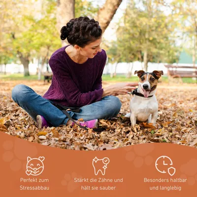 Wildfang Kauwurzel aus Baumheide Wildfang Kauwurzel aus Baumheide