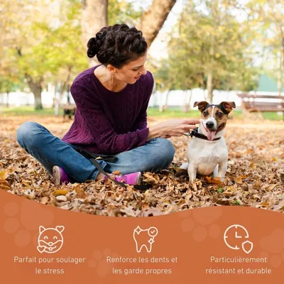 Wildfang® Mâcher des racines de bruyère arborescente