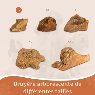 Wildfang® Mâcher des racines de bruyère arborescente