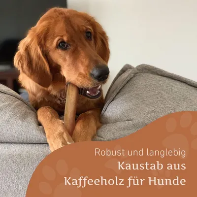 Wildfang Kaffeeholz Kaustab
