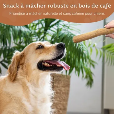 Wildfang® Bois de caféier pour chiens