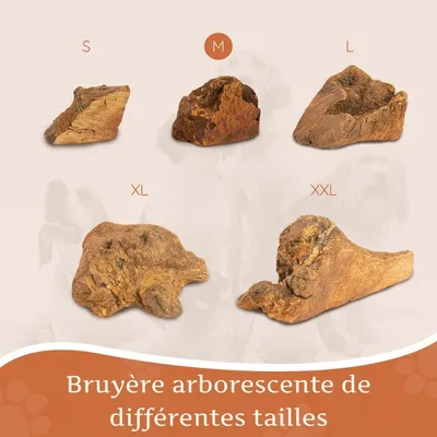 Wildfang® Mâcher des racines de bruyère arborescente