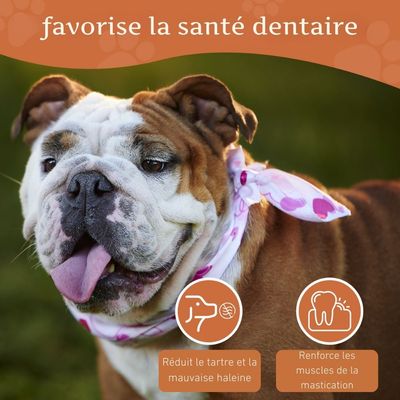 Wildfang® Mâcher des racines de bruyère arborescente