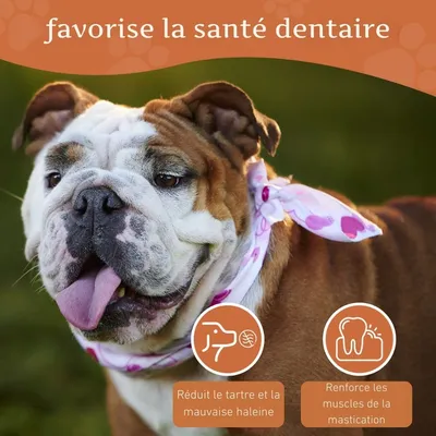 Wildfang® Mâcher des racines de bruyère arborescente