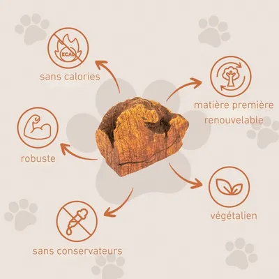 Wildfang® Mâcher des racines de bruyère arborescente