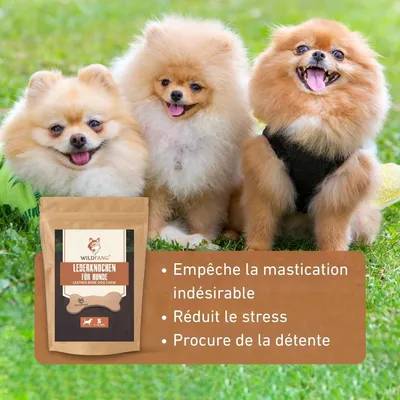 Wildfang® Os en cuir - mâcher le cuir