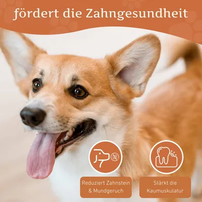 Wildfang® Mâcher des racines de bruyère arborescente Wildfang® Mâcher des racines de bruyère arborescente