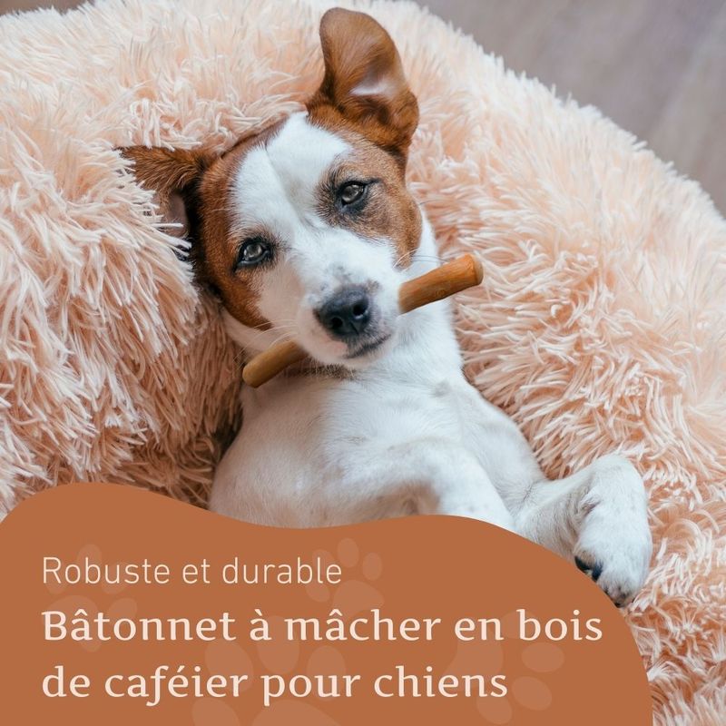 Wildfang® Bois de caféier pour chiens
