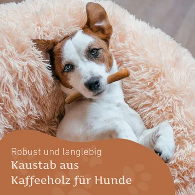 Wildfang® Bois de caféier pour chiens Wildfang® Bois de caféier pour chiens