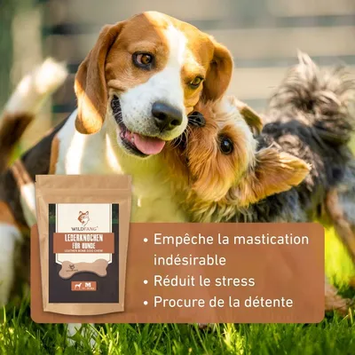 Wildfang® Os en cuir - mâcher le cuir