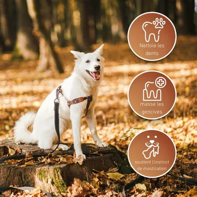 Wildfang® Os en cuir - mâcher le cuir