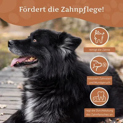 Wildfang® Bois de caféier pour chiens