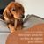 Wildfang® Bois de caféier pour chiens