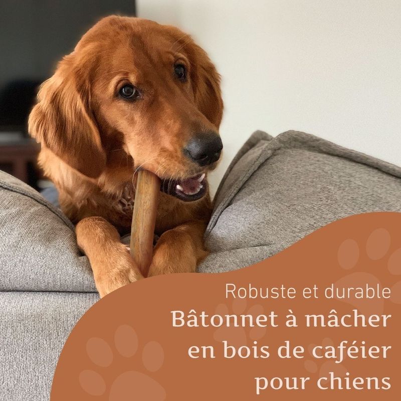 Wildfang® Bois de caféier pour chiens