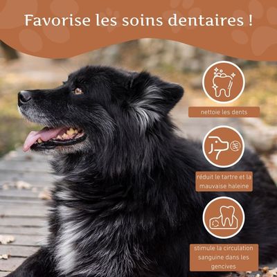 Wildfang® Bois de caféier pour chiens