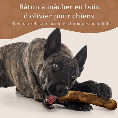 Wildfang® Bâton à mâcher en bois d'olivier