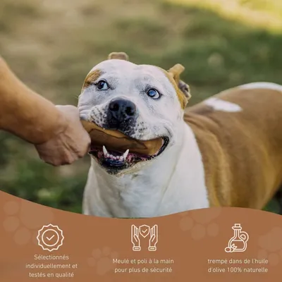 Wildfang® Bâton à mâcher en bois d'olivier