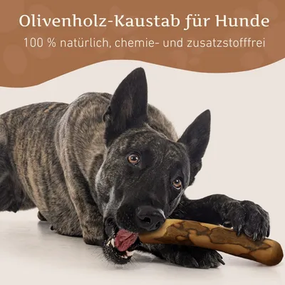 Wildfang Olivenholz Kaustab Wildfang Olivenholz Kaustab