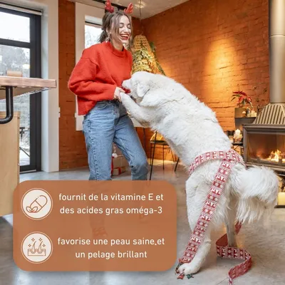 Wildfang® Bâton à mâcher en bois d'olivier