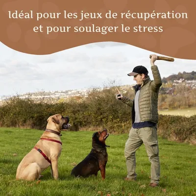 Wildfang® Bâton à mâcher en bois d'olivier