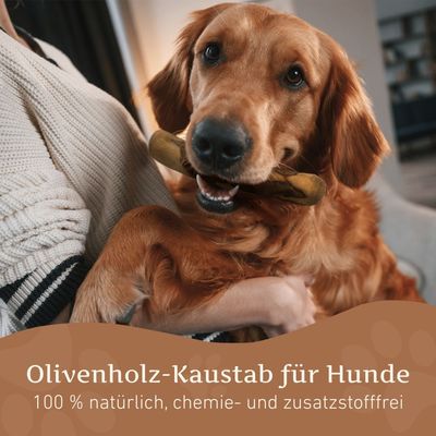 Wildfang Olivenholz Kaustab